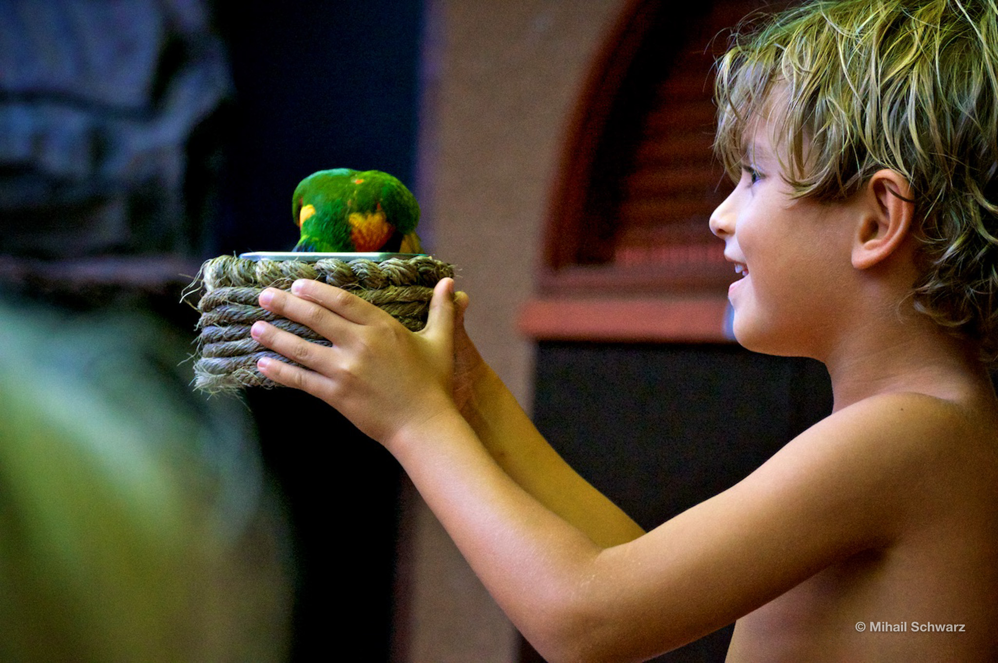 Ein Junge füttert Papageien