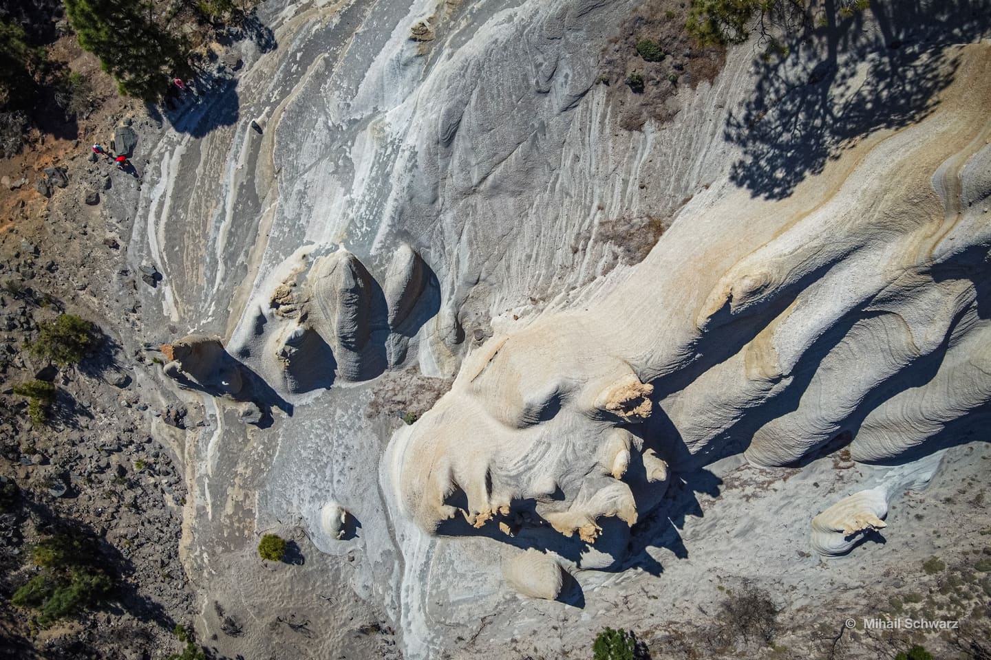 Steiniger Wanderweg durch den lichten Kiefernwald oberhalb von Vilaflor