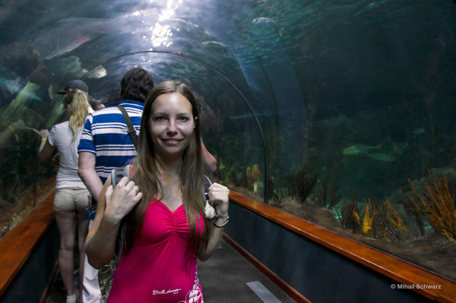Tunnel durch das Aquarium